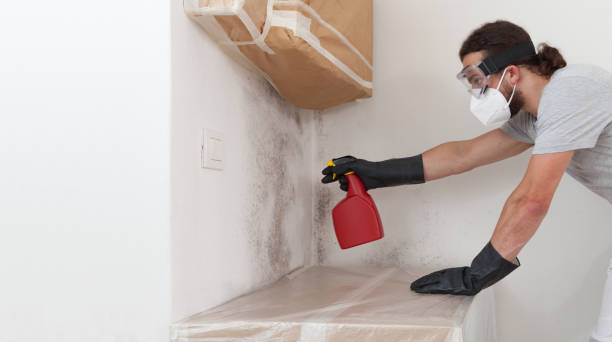 Professional Crawl Space Mold Remediation technician working in Hudson, NC