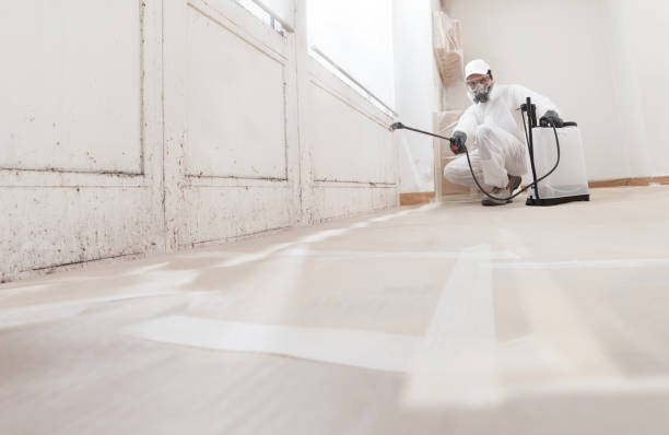 24/7 Emergency Crawl Space Mold Remediation experts in Hudson, NC